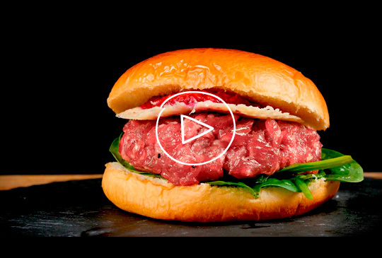 Tartare Burger